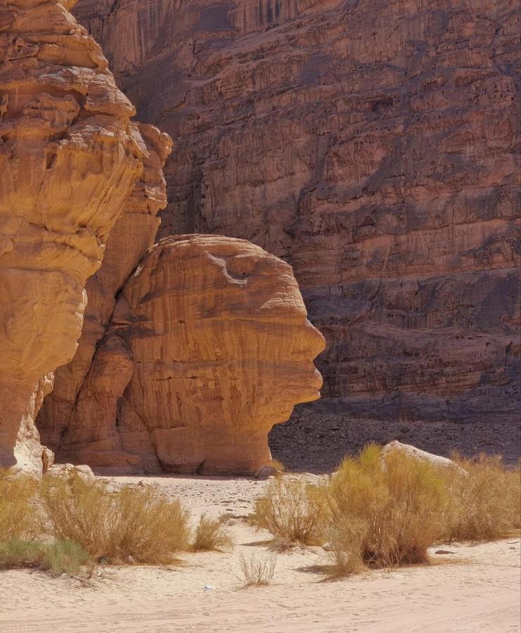 Amanda Luxury Camp Hotel Wadi Rum Ngoại thất bức ảnh